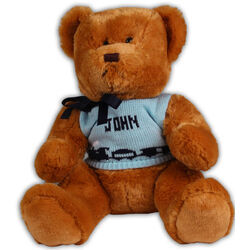 Plush Stuffed Teddy Bear with Personalized Sweater